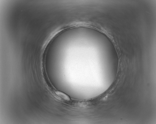 X0000055980103200509092004