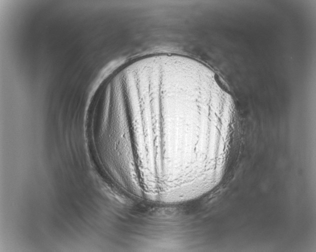 X0000055980104200509092003