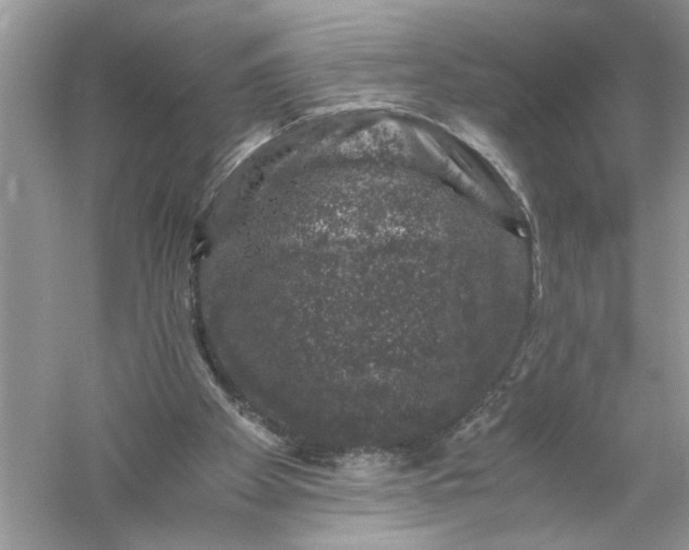 X0000055980105200509092003