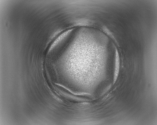 X0000055980106200509092003