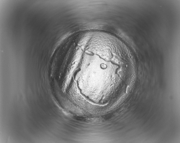 X0000055980107200509092003