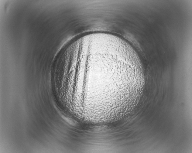 X0000055980108200509092003