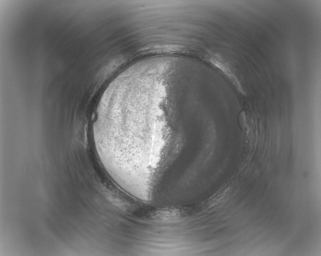 X0000055980110200509092003