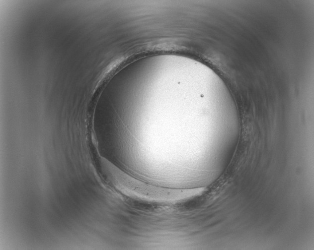 X0000055980111200509092003