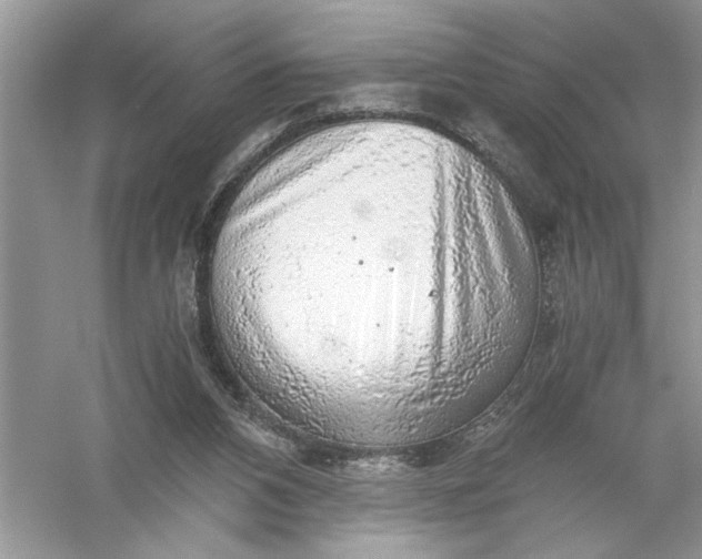 X0000055980112200509092003