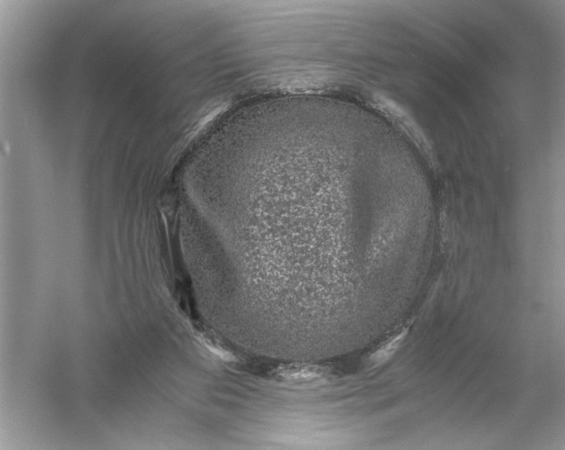 X0000055980113200509092003