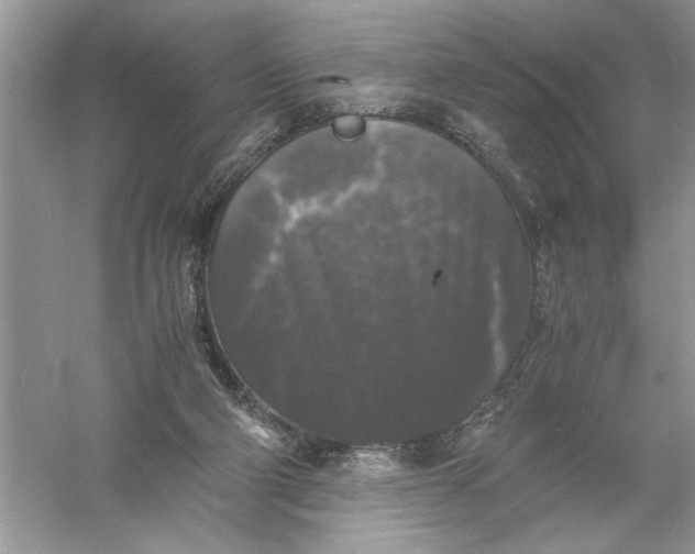 X0000055980114200509092003