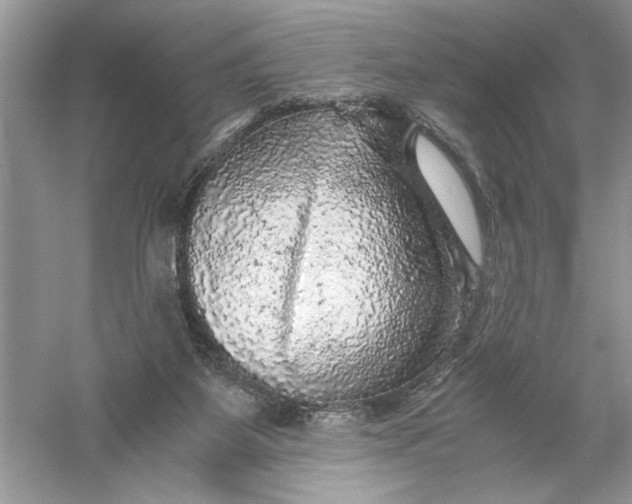 X0000055980115200509092003