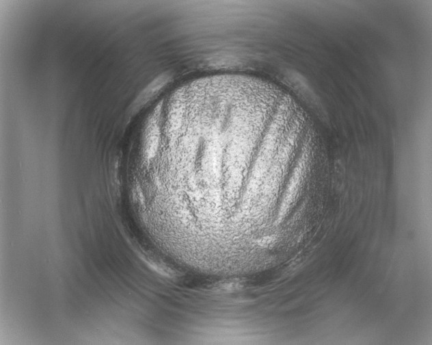 X0000055980116200509092003