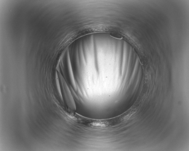 X0000055980117200509092003