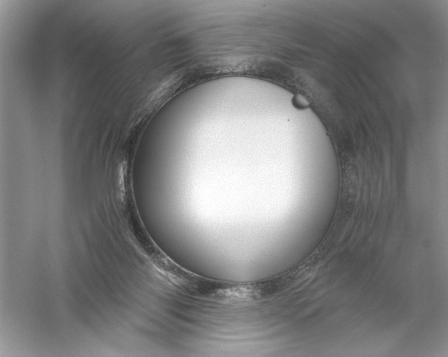 X0000055980118200509092003