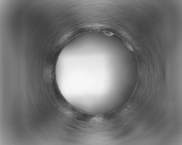 X0000055980119200509092003