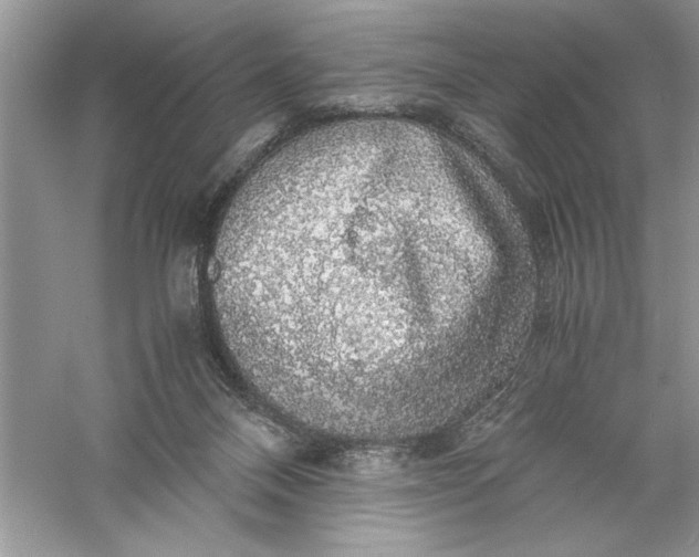 X0000055980120200509092003