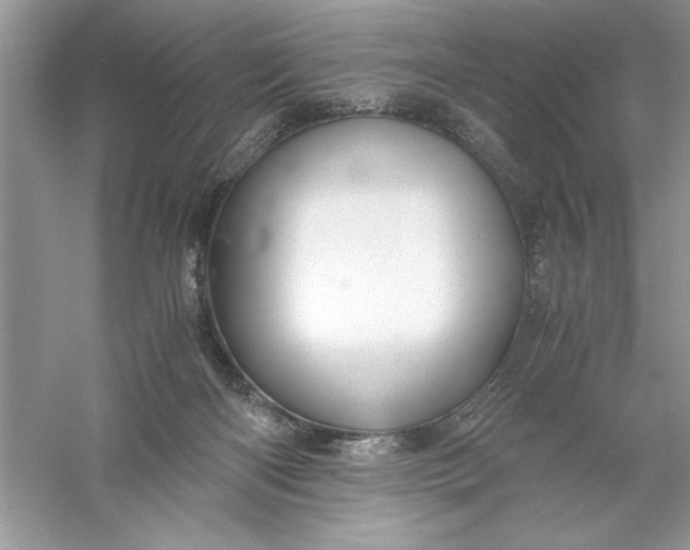 X0000055980122200509092003