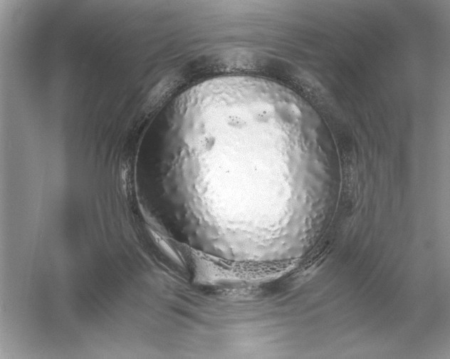 X0000055980123200509092003