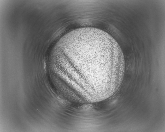 X0000055980124200509092003