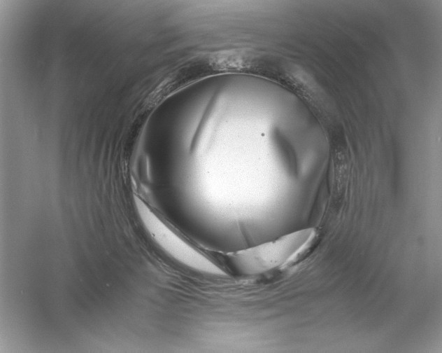 X0000055980125200509092003