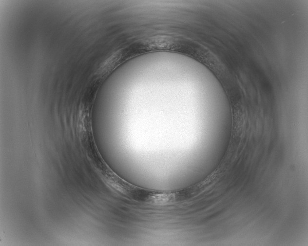 X0000055980126200509092003