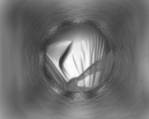 X0000055980127200509092003