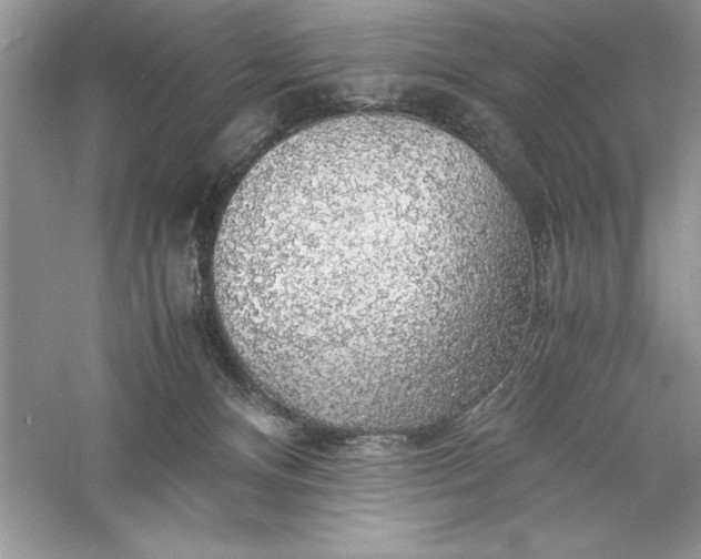 X0000055980128200509092003