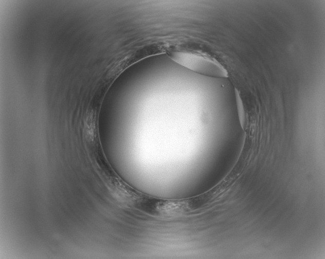 X0000055980129200509092003