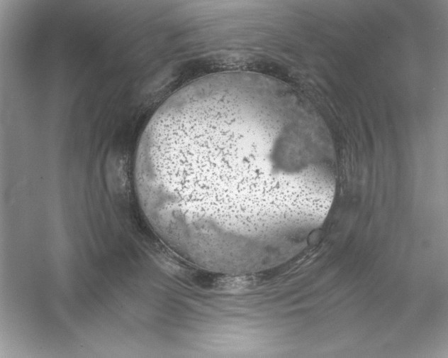 X0000055980131200509092003