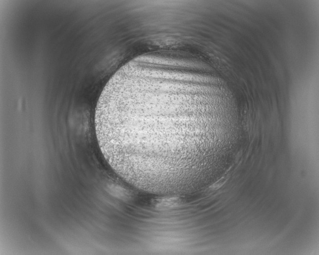 X0000055980132200509092003