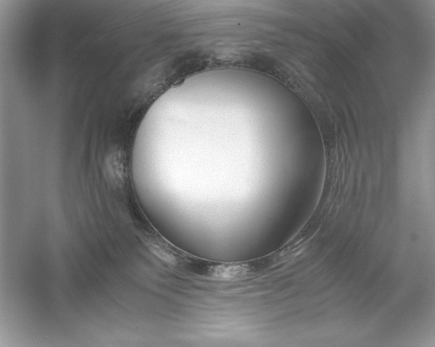 X0000055980135200509092003