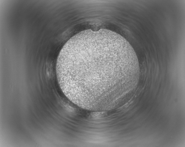 X0000055980136200509092003