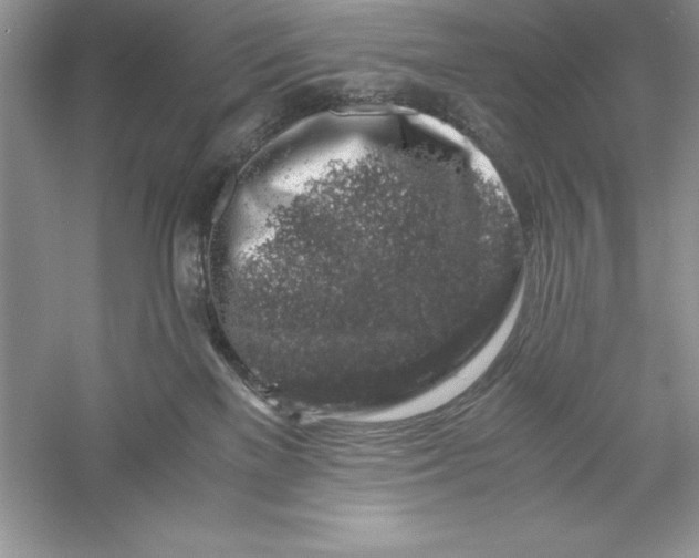 X0000055980137200509092003