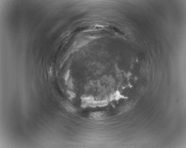 X0000055980139200509092003