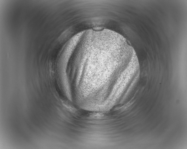 X0000055980140200509092003