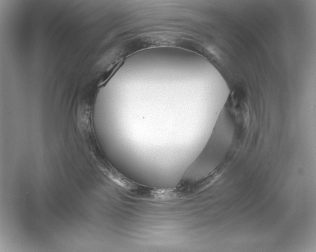 X0000055980141200509092003