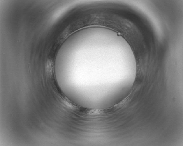 X0000055980142200509092003