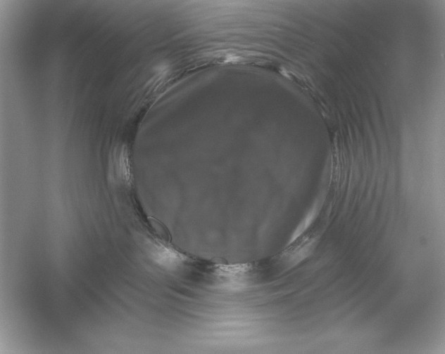 X0000055980143200509092003