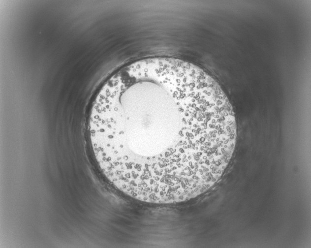 X0000055980146200509092002