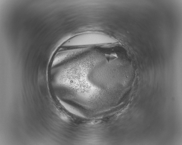 X0000055980148200509092002