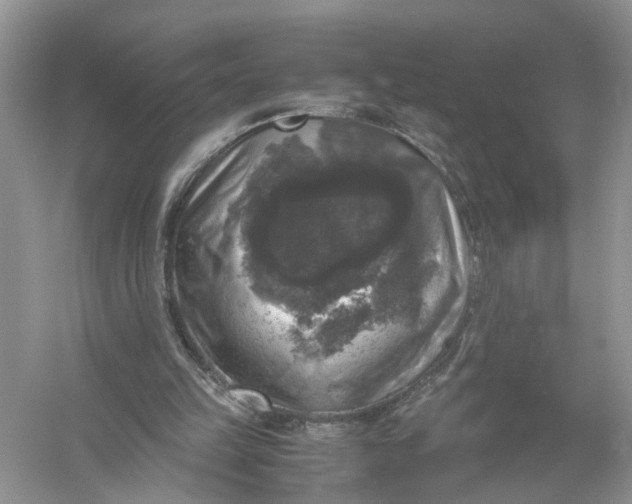 X0000055980149200509092002