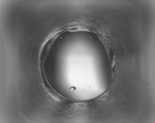 X0000055980150200509092002