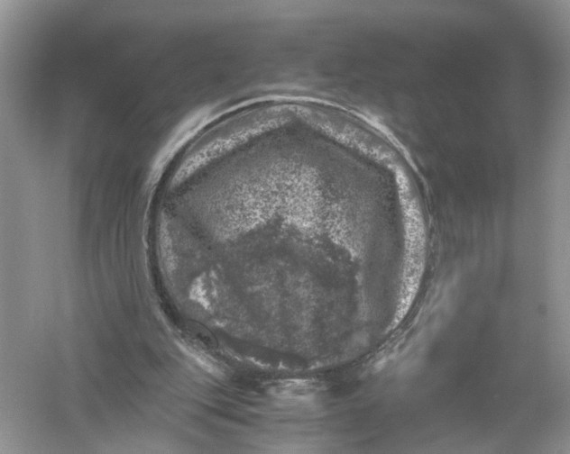 X0000055980151200509092002