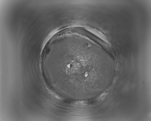 X0000055980152200509092002