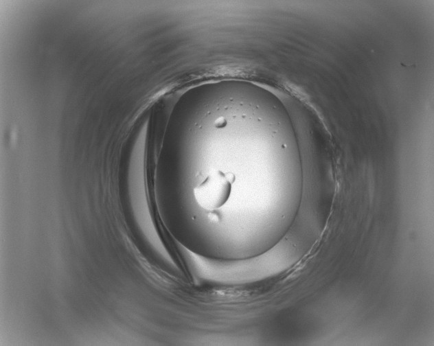 X0000055980154200509092002