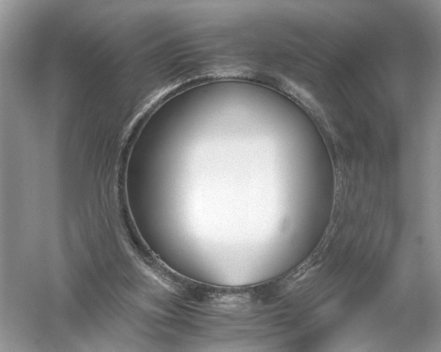 X0000055980155200509092002