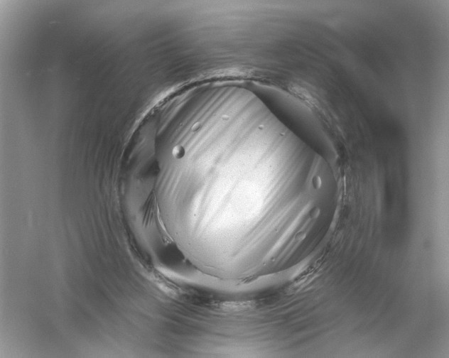 X0000055980156200509092002