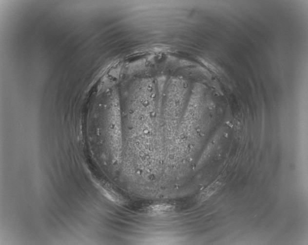 X0000055980158200509092002