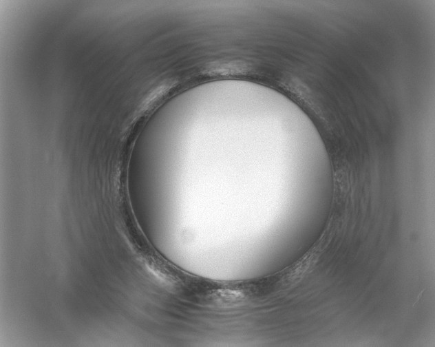 X0000055980159200509092002