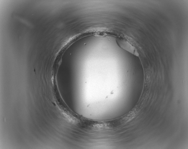 X0000055980160200509092002