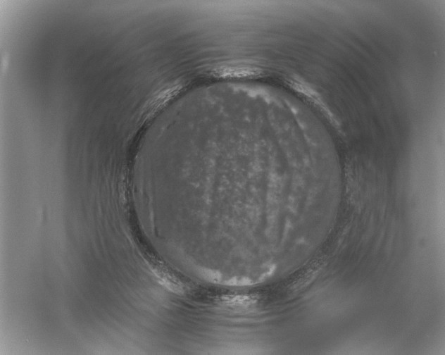 X0000055980161200509092002