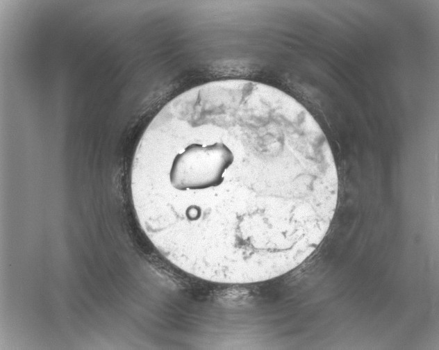 X0000055980162200509092002