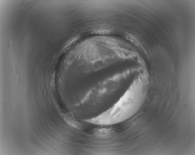 X0000055980163200509092002